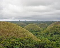 The Chocolates Hills Bohol